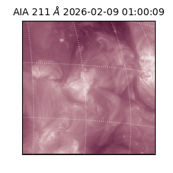saia - 2026-02-09T01:00:09.627000