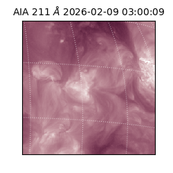 saia - 2026-02-09T03:00:09.626000