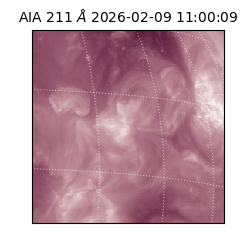 saia - 2026-02-09T11:00:09.626000