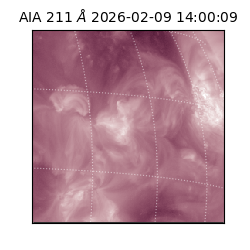 saia - 2026-02-09T14:00:09.626000