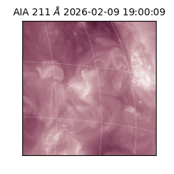 saia - 2026-02-09T19:00:09.626000