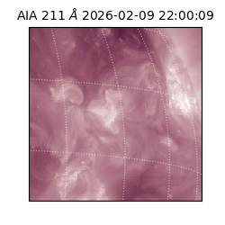 saia - 2026-02-09T22:00:09.626000