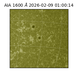 saia - 2026-02-09T01:00:14.125000