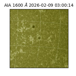 saia - 2026-02-09T03:00:14.126000