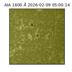 saia - 2026-02-09T05:00:14.126000