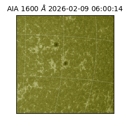 saia - 2026-02-09T06:00:14.126000