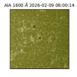 saia - 2026-02-09T08:00:14.126000