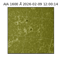 saia - 2026-02-09T12:00:14.126000