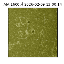 saia - 2026-02-09T13:00:14.129000