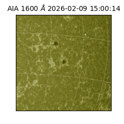 saia - 2026-02-09T15:00:14.126000