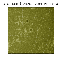 saia - 2026-02-09T19:00:14.126000