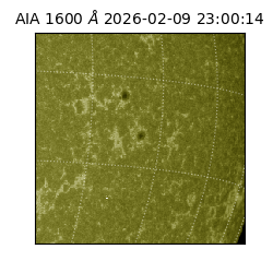 saia - 2026-02-09T23:00:14.126000