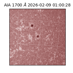 saia - 2026-02-09T01:00:28.710000
