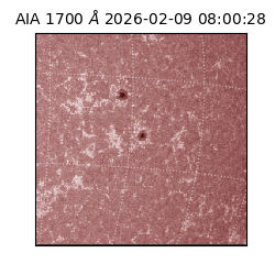 saia - 2026-02-09T08:00:28.717000