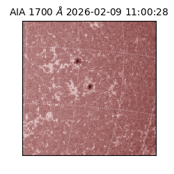 saia - 2026-02-09T11:00:28.717000