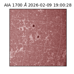 saia - 2026-02-09T19:00:28.718000