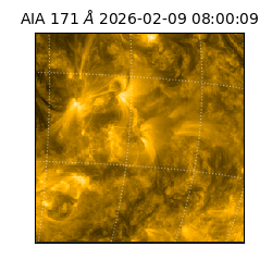 saia - 2026-02-09T08:00:09.349000