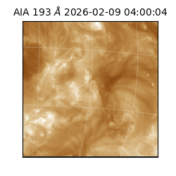 saia - 2026-02-09T04:00:04.843000