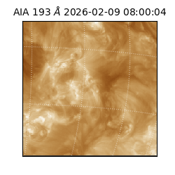 saia - 2026-02-09T08:00:04.843000