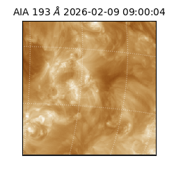 saia - 2026-02-09T09:00:04.843000