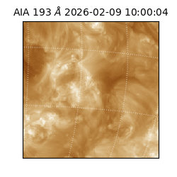 saia - 2026-02-09T10:00:04.843000