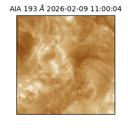 saia - 2026-02-09T11:00:04.843000