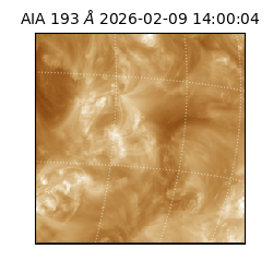 saia - 2026-02-09T14:00:04.843000