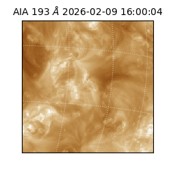 saia - 2026-02-09T16:00:04.843000