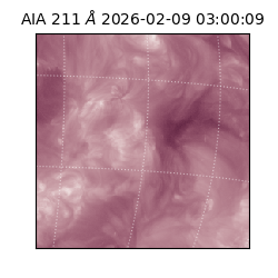 saia - 2026-02-09T03:00:09.626000