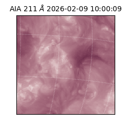 saia - 2026-02-09T10:00:09.630000