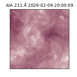 saia - 2026-02-09T20:00:09.630000