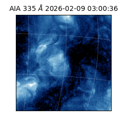 saia - 2026-02-09T03:00:36.633000