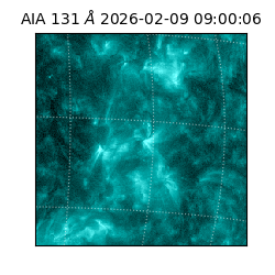 saia - 2026-02-09T09:00:06.622000