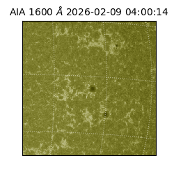 saia - 2026-02-09T04:00:14.126000