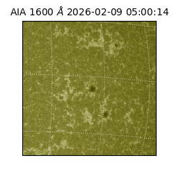 saia - 2026-02-09T05:00:14.126000