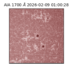saia - 2026-02-09T01:00:28.710000