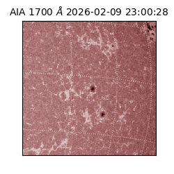 saia - 2026-02-09T23:00:28.718000