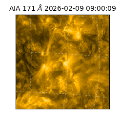 saia - 2026-02-09T09:00:09.350000