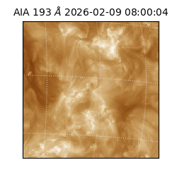 saia - 2026-02-09T08:00:04.843000