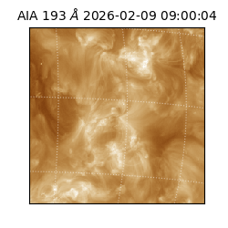 saia - 2026-02-09T09:00:04.843000