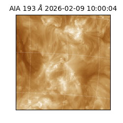 saia - 2026-02-09T10:00:04.843000