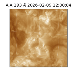 saia - 2026-02-09T12:00:04.846000