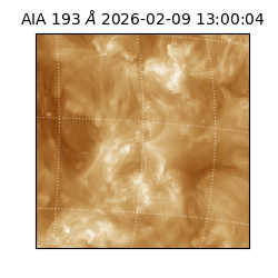 saia - 2026-02-09T13:00:04.843000