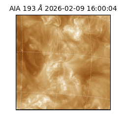 saia - 2026-02-09T16:00:04.843000