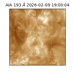 saia - 2026-02-09T19:00:04.843000