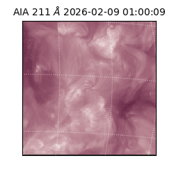 saia - 2026-02-09T01:00:09.627000