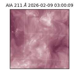 saia - 2026-02-09T03:00:09.626000