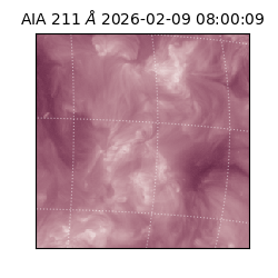 saia - 2026-02-09T08:00:09.626000