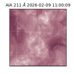 saia - 2026-02-09T11:00:09.626000