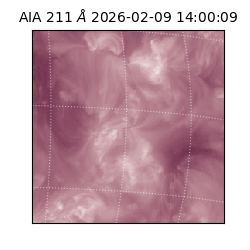 saia - 2026-02-09T14:00:09.626000